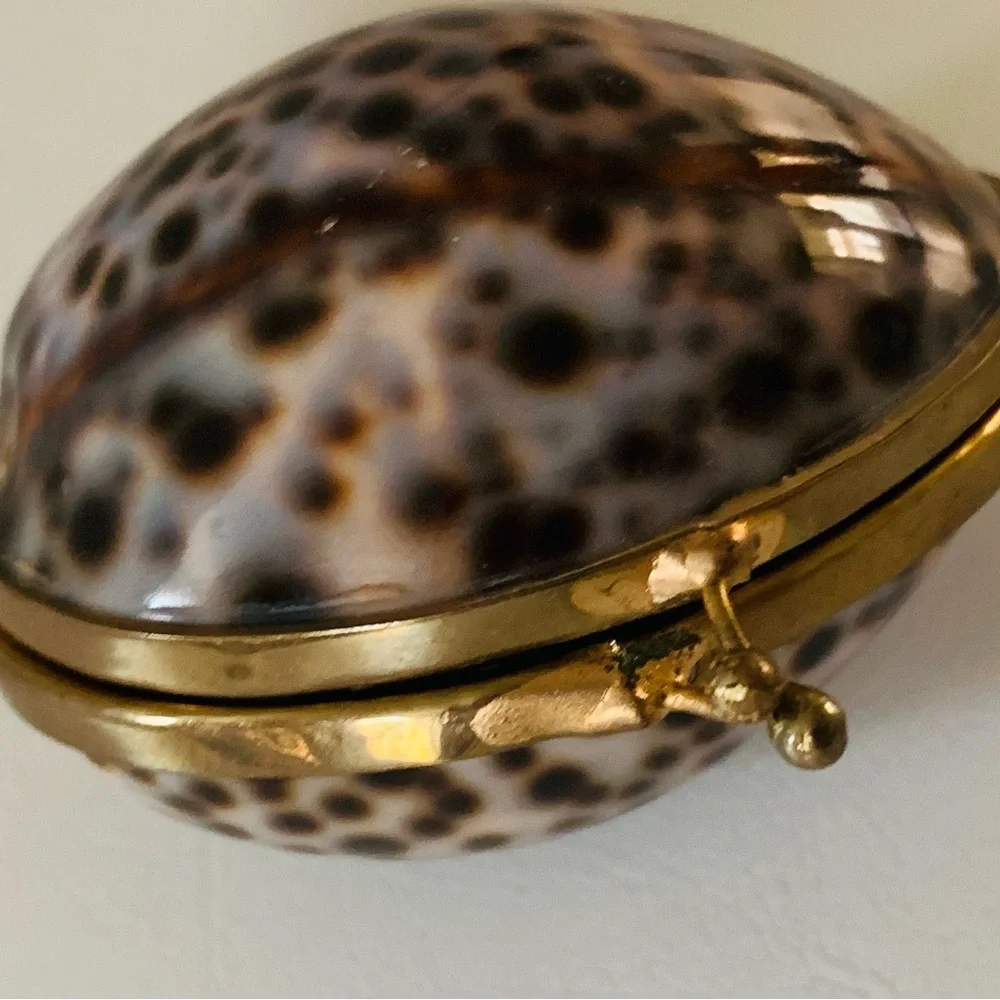 Shell trinket box with brass rim